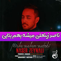 دانلود آهنگ میشه دست بکشی رو پرم از ناصر زینعلی