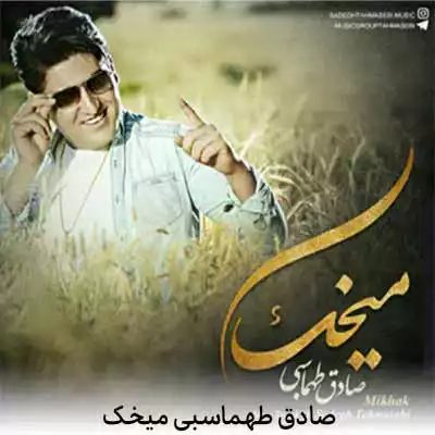 دانلود آهنگ صادق طهماسبی میخک
