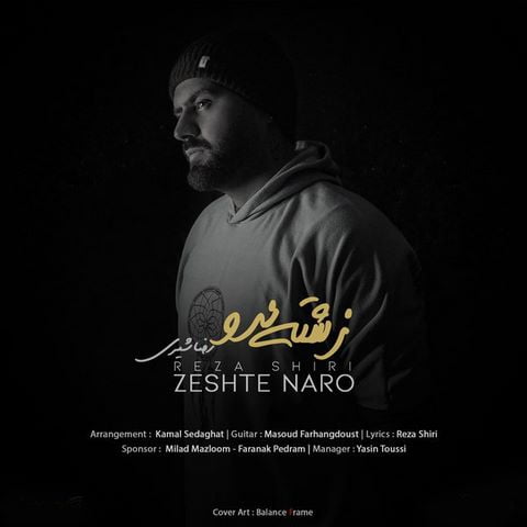 دانلود آهنگ رضا شیری زشته نرو