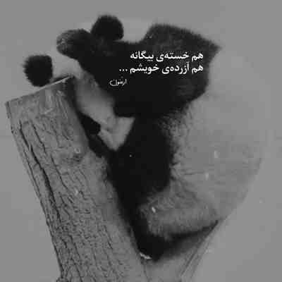 آهنگ اصن بعد هر سربالایی سرازیری در کار نبود