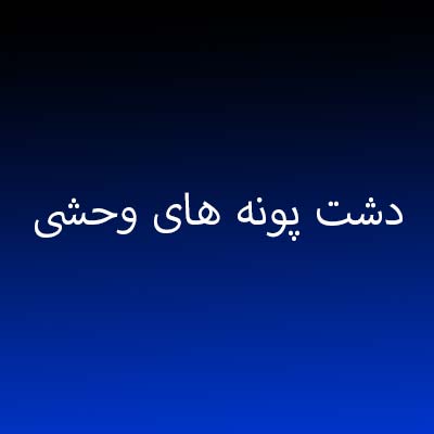 دانلود آهنگ دشت پونه های وحشی