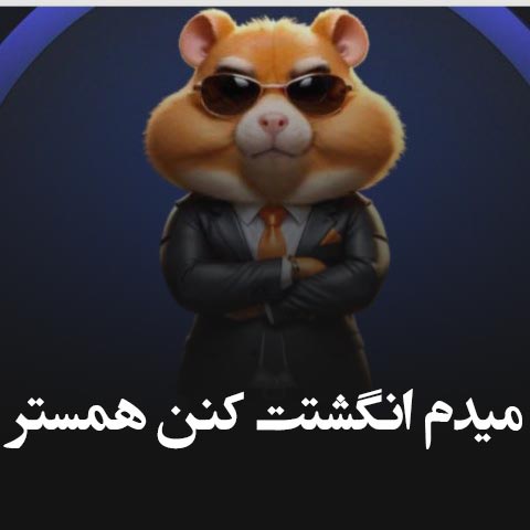 دانلود آهنگ میدم انگشتت کنن همستر