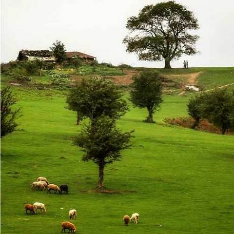 دانلود آهنگ شمالی سلیمه جان