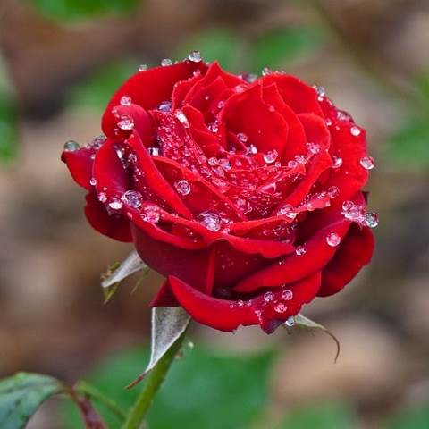 دانلود آهنگ قلب من از صدای تو چه عاشقانه کوک شد