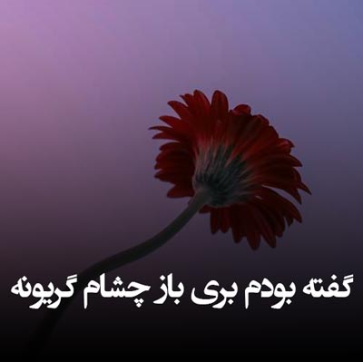 دانلود آهنگ گفته بودم بری باز چشام گریونه