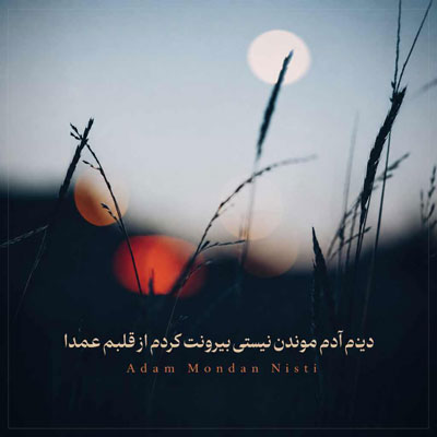 دانلود اهنگ دیدم ادم موندن نیستی بیرونت کردم از قلبم عمدا