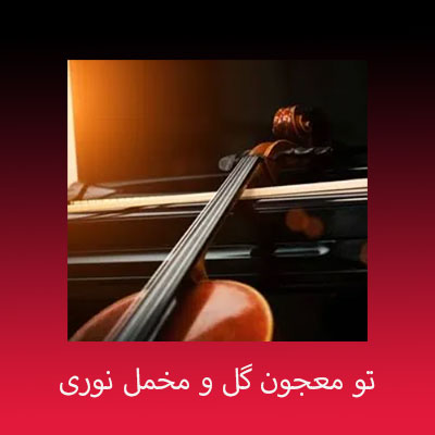 دانلود آهنگ تو معجون گل و مخمل نوری