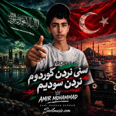 دانلود آهنگ امیر محمد سنی نردن گوردوم نردن سودیم