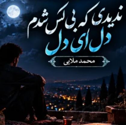 دانلود آهنگ ندیدی که بی کس شدم دل ای دل از محمد ملایی