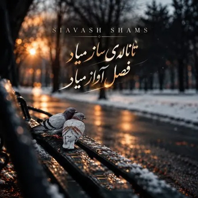 دانلود آهنگ تا ناله ساز میاد صدای اواز میاد